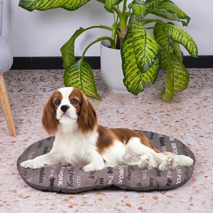 Ferplast Cat Bed, Dog Bed Medium Washable Pet Mat Cushion in Cotton with Soft Padding, 65 x 42 cm. Brown