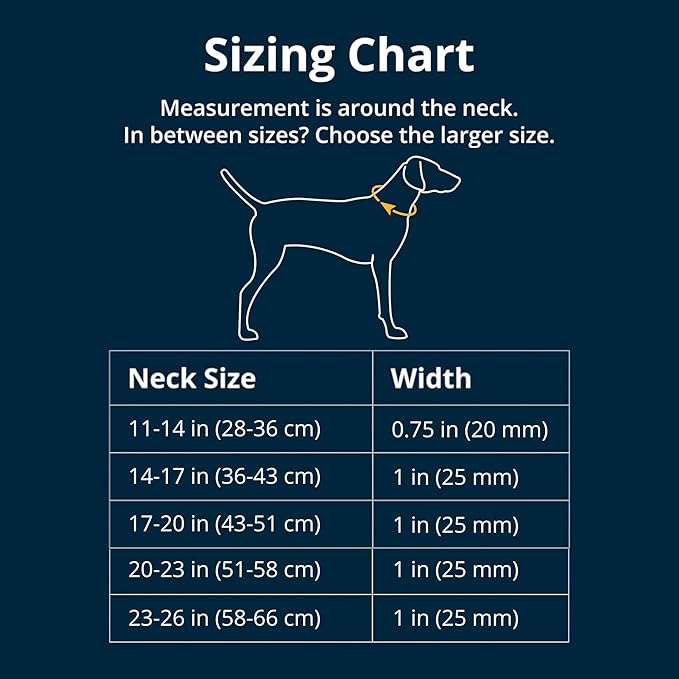 Ruffwear, Web Reaction Dog Collar, Escape-Proof Security Buckle, Adjustable Anti-Slip Martingale Collar with Durable Nylon Tubelok Webbing & Silent ID Attachment, Blue Pool, 17"-20"