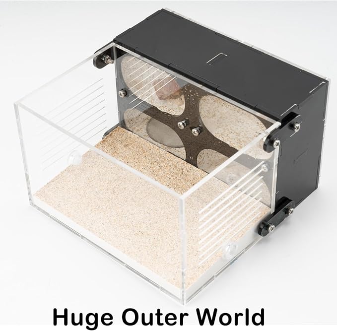 Acrylic Ant Farm Terrarium – Formicarium Ant Nest Habitat System, Observation Chambers for Live Ants & Queen – Educational for Adults