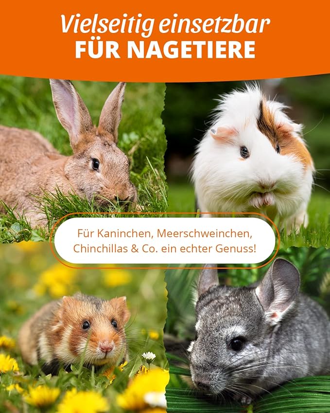 GIGATEMP petifool Blütenfest 380g - Ergänzungsfutter für Nager - natürliches Nagerfutter für Kaninchen, Meerschweinchen, Hamster, Chin