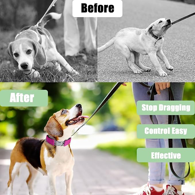 No Pull Collar with Quick Release Buckle for Small Medium Large Dogs