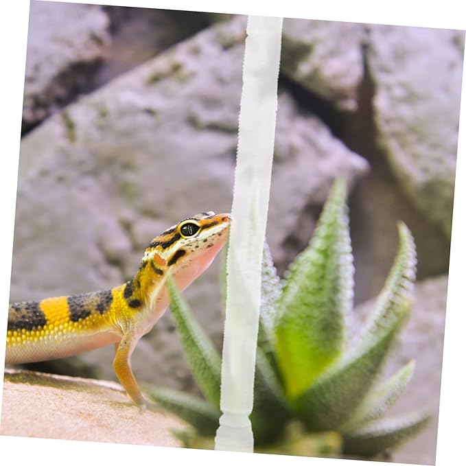 POPETPOP 1set Reptile Humidifier Extension Cups Flexible Hose for Terrarium Humidifier Parts Compatible Reptiles and Amphibians Easy to Install