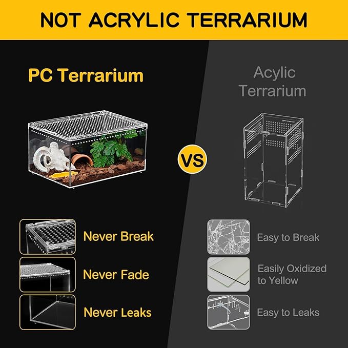 Reptile PC Terrarium 12" x 8" x 6", Tarantula Enclosure,Spider Tank Starter Kit, Hermit Crab Habitat,Lizard Enclosure,Insect Housing,Jumping Spider Cage