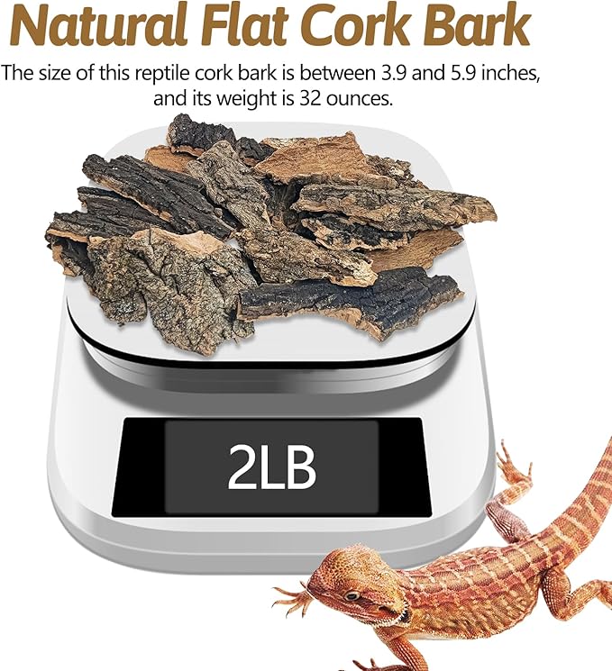 BNOSDM Reptile Cork Bark Substrate 2LB Lizard Bedding for Habitat Natural Flat Cork Wood Bulk Terrarium Reusable Bark Pieces for Chameleon, Ball Python, Crested Gecko, Spider, Tortoise, Tree Frog