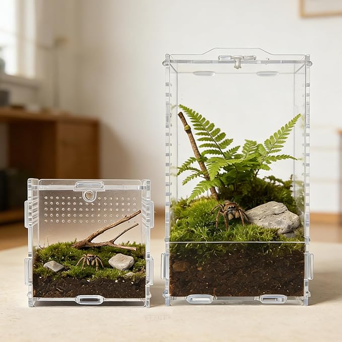 Transparent Jumping Spider Enclosure, Acrylic Reptile Terrarium Enclosure, Small Reptiles Habitat Tank Breeding Box for Tarantula Insect (Large)