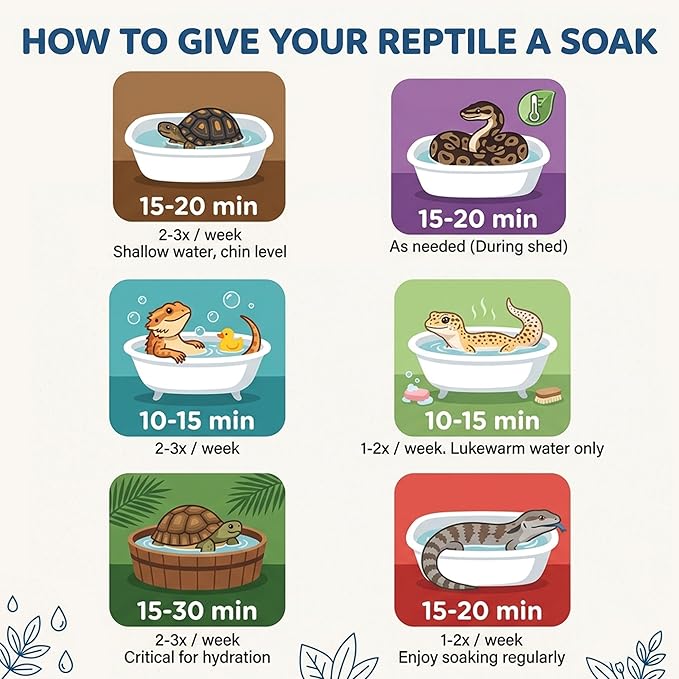 CTWPets Reptile Electrolyte Soak – Vitamin & Electrolyte Bath Concentrate for Bearded Dragons, Leopard Geckos, Tortoises & Snakes – Makes 100+ Baths (8oz, Easy Soak)