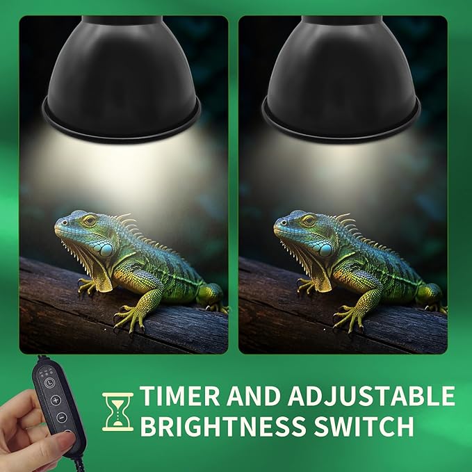 5.5 Inch Deep Dome Reptile Lamp Bulb Fixture with 3 Kinds Switch - Ideal for 50W/75W/100W/150W Heat Lamp Bulbs, E26 Compatible with UVA/UVB/Basking Heat Bulbs, Supports Up to 150 watts