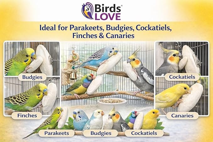 Birds LOVE 7.5-8" Cuttlebones for Birds – 100% Natural Sun-Dried Calcium & Beak Conditioning Supplement for Parakeets, Budgies, Cockatiels, Finches & Canaries – 4 lb with Holder – Made in Vietnam