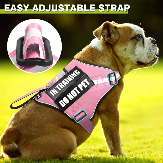 Service Dog Harness and Leash Set, Training Dog Vest with 10 Dog Patches, Emotional Support Therapy Dog Vest Harness for Small Medium Large and Extra Large Dogs(Pink, XS)