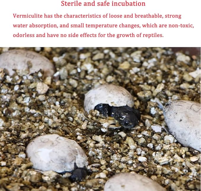 Flushbay Reptile Feeding Box Turtle Transport Breeding Box Egg Incubator Container with 1.1lb Reptile Substrate Vermiculite Bedding for Snake Tortoise Lizard Hatching Eggs