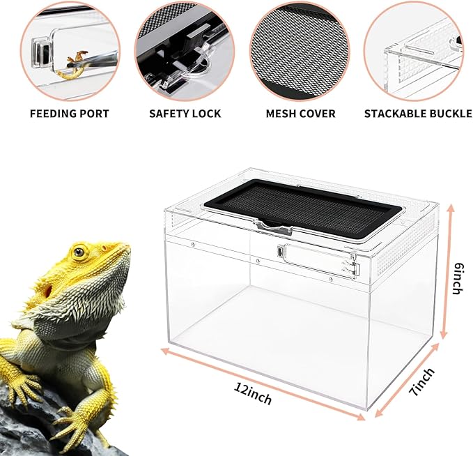 Mini Reptile Terrarium Set,12" x 7"x 6" Low Reptile Tank with Full View Visually Appealing，for Insect，Fish，Tarantula，Hermit Crab，Jumping Spider，Iguana，Tortoise，Leopard Gecko，Frog，Bearded Dragon