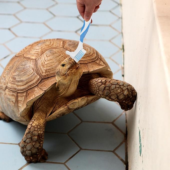 2pcs Turtle Shell Cleaning Brush Portable Mini Mud Remover for Aquatic Turtle Care with Ergonomic Handle, Blue, Practical Reptile Health Supplies