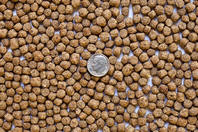 America's Best Koi Food Large Floating Pond Pellets All Season Diet for Koi and Pond Fish 32% Premium Protein Fish Food Pellets 20 lb Bag (9.072 kg)