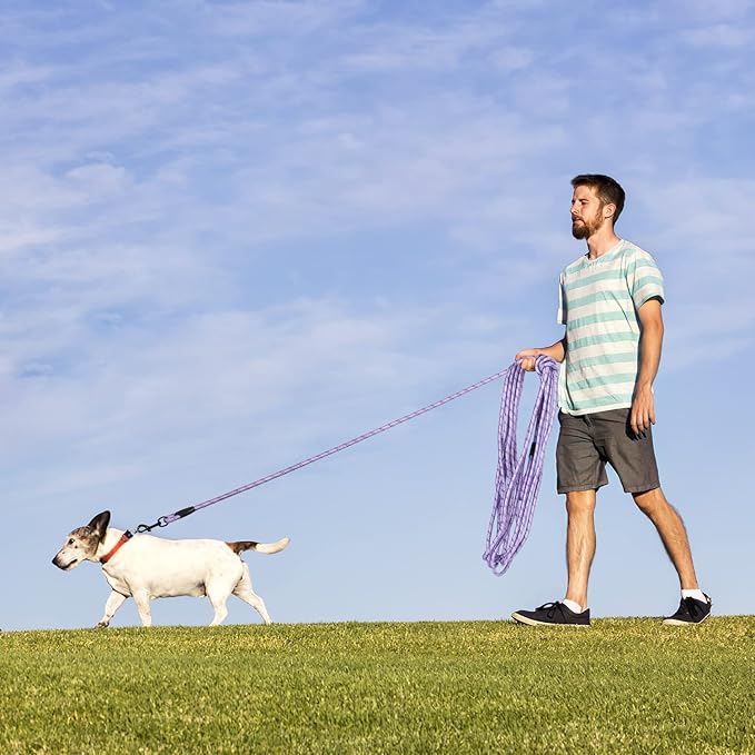Long Dog Leash for Training 30Ft-Reflective Nylon Rope with Swivel Hook-Recall Agility Lead for Large Small Medium Dogs Outside Walking Hiking-Purple Diam 1/2"