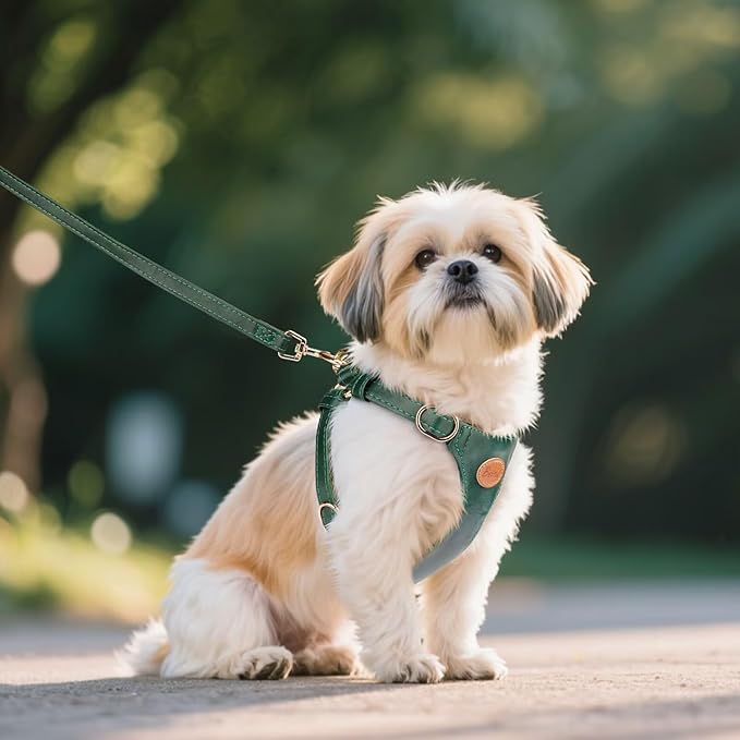 Beirui ‌Stylish PU Leather Dog Harness‌ and Leash Set for Small Dogs, ‌Adjustable Step in Puppy Harness with Breathable Mesh Lining and Durable Metal Buckle for Walking Traveling(Green,XS)