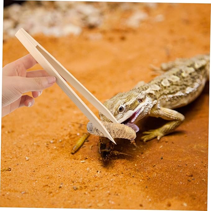 Sosoport 2pcs Reptile Food Tweezers Feeding Clips for Lizards Snakes Turtles and Crawling Pet Food Supply Feeding Tool
