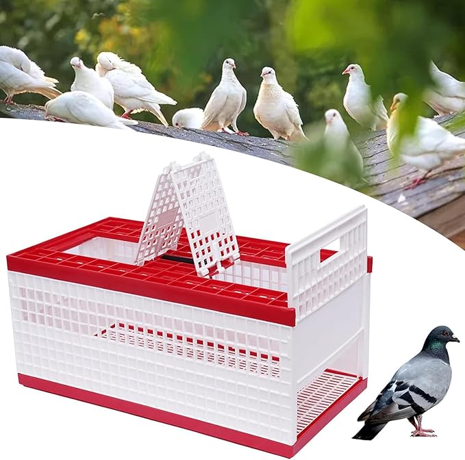 23.62 * 12.2 * 10.24" Transportation Pigeon Cage, Foldable Pigeon Cage, Capacity 14 Birds, with Handle & Side Doors + 2 Top Department, for Training and Release Competition