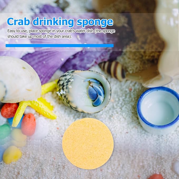 VILLCASE 12pcs Hermit Crab Sponges Pet Crab Sea Sponges Water Dish Provide Nutrients for Pet Tank Humidity Supplies