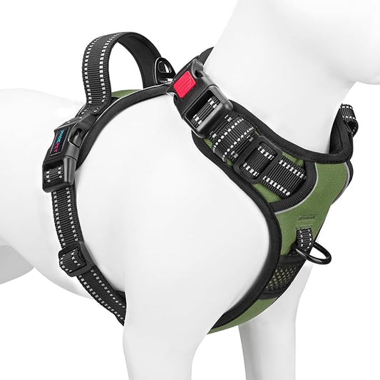 PHOEPET No Pull Dog Harness with Handle Front & Back Clip, Easy on Lockable Snap Buckle at Neck, Adjustable Reflective Vest with Handle for Small Medium Large Dogs (XS, Misty Green)