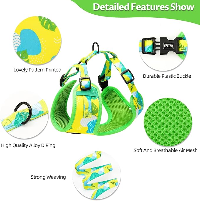 Small Dog Harness and Leash Set of 6, No Pull Soft Lightweight Mesh Puppy Harness， Adjustable Cute Floral Pattern Pet Harness for Small Medium Dogs (Green Leaf, L)