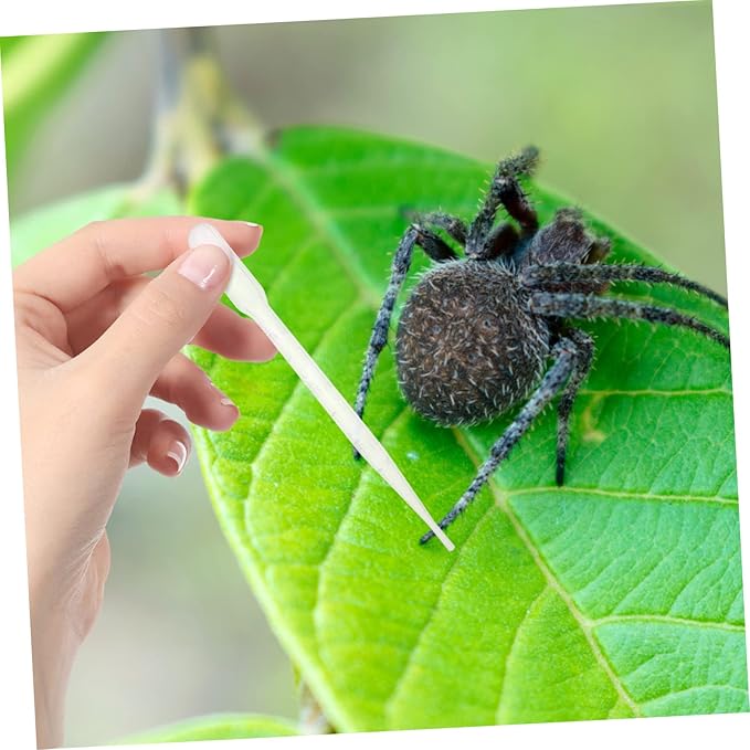 FRCOLOR 18pcs Plastic Reptile Feeding Clamp Insect Tweezer Reptile Accessories Tweezer Dropper