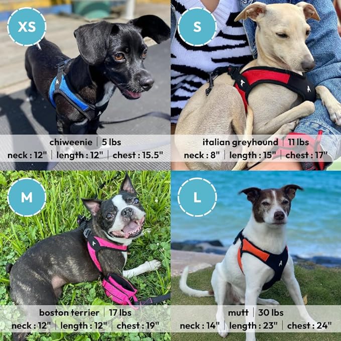Gooby Escape Free Easy Fit Harness - Black, Medium - No Pull Step-in Patented Small Dog Harness with Quick Release Buckle - Perfect On the Go No Pull Harness for Small Dogs or Medium Dog Harness
