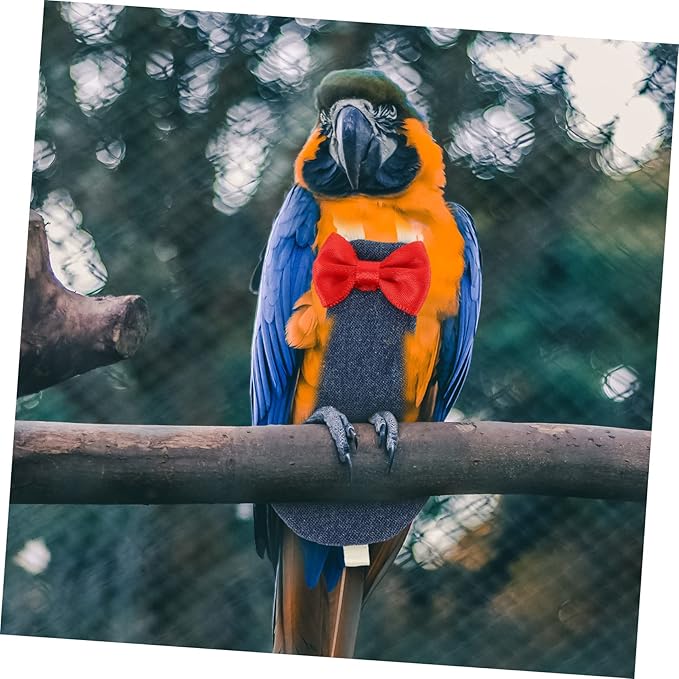balacoo 5pcs Washable Bird Diaper for Parrots and Pigeons Comfortable Flight Suit Unique Design Material Easy to Clean for Outdoor Use