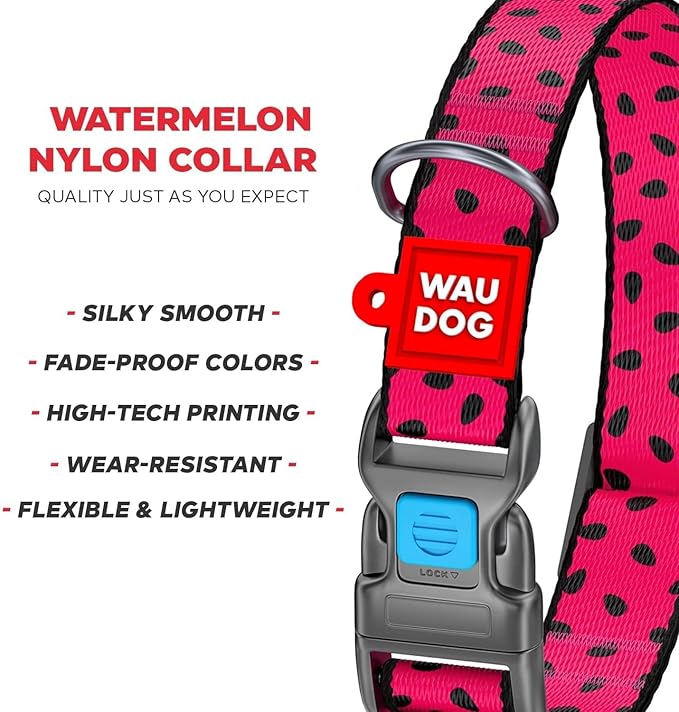 Nylon Dog Collar and Leash Set - Adjustable Dog Collar for Large Dogs, Small & Medium Dogs - Puppy Collars for Large Breed - Boy & Girl Collars with Durable Plastic Buckle and QR Tag