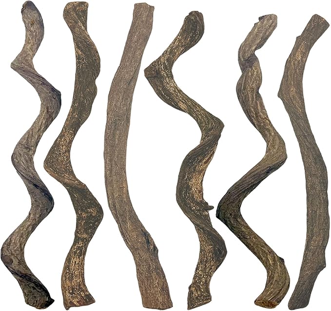 BNOSDM Reptile Forest Climbing Branch Decor 6PCS Crested Gecko Climb Wood Natural Branches Tree for Snake Frog Chameleon Spider Bearded Dragon Terrarium Habitat Tank Accessories