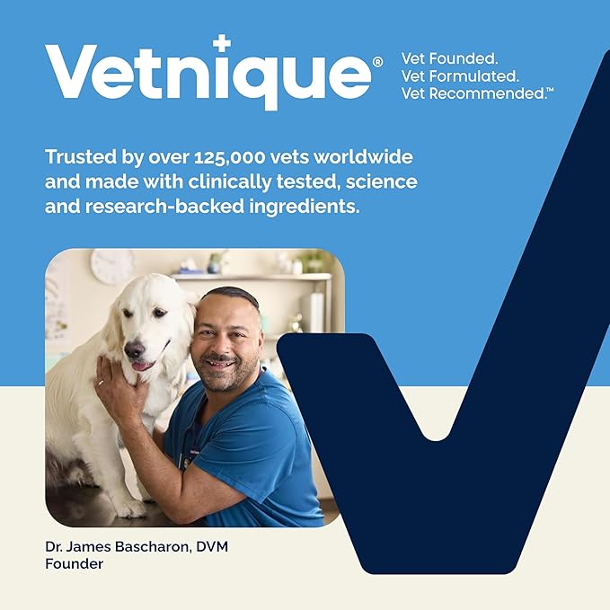 Vetnique Glandex Anal Gland Soft Chew Treats with Pumpkin for Dogs Digestive Enzymes, Probiotics Fiber Supplement for Dogs Boot The Scoot (Bacon Flavor Chews, 60 Count)