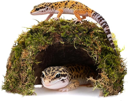 Reptile Hides and Caves – Leopard Gecko Tank Accessories, Natural Dome Reptile Cave & Shelter, Gecko Tank Accessories & Hermit Crab Shelter, Hamster Cage Accessories