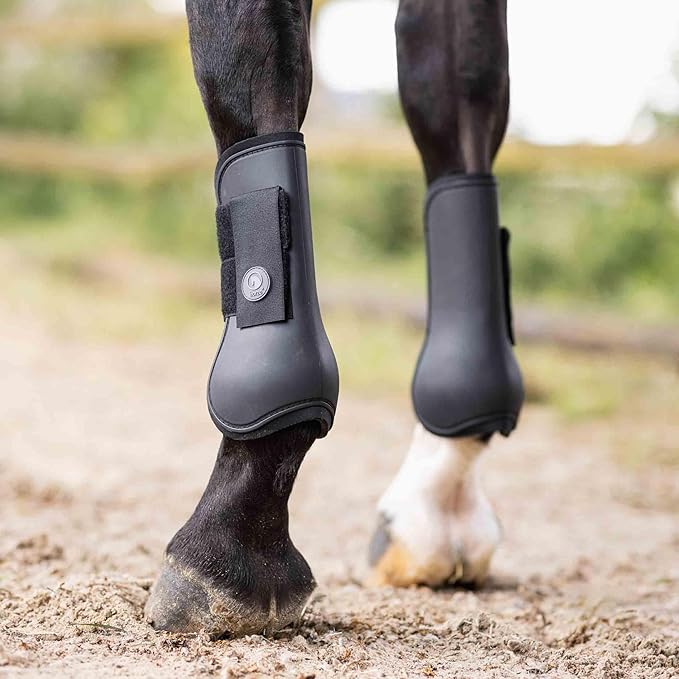 HORZE Chicago Protective Horse Tendon Boots - Lightweight Open Front Boots for Jumping, Trail Riding, and Turnout (Pair) - Black - Shetland