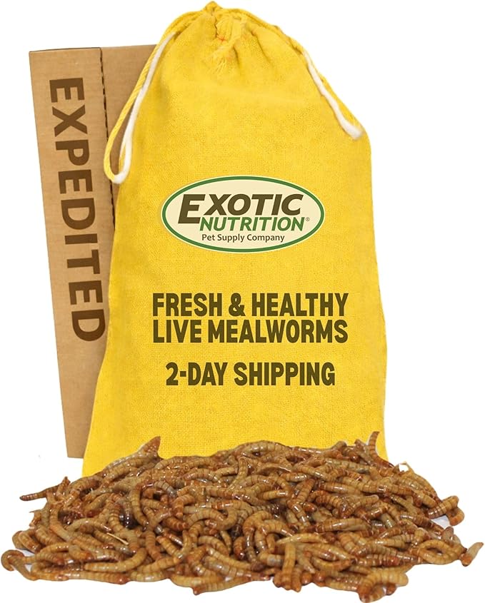 Exotic Nutrition 4000pk Live Mealworms (1/2")