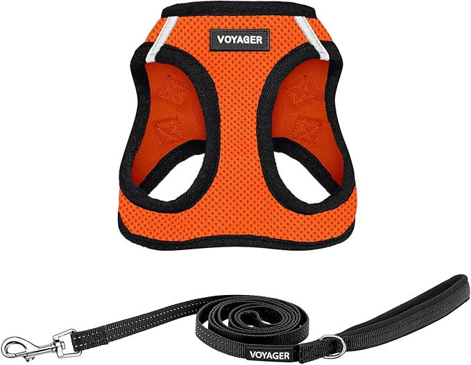 Best Pet Supplies Voyager Step-in Air All Weather Mesh Harness and Reflective Dog 5ft Leash Combo with Neoprene Handle, for Small, Medium and Large Breed Puppies - Set (Orange/Black Trim), X-Large