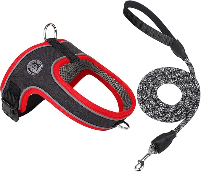 Dog Harness and Leash Set, No Pull Saddle Style Pet Harness, Breathable Mesh Adjustable Reflective Dog Vest for Dogs and Cat Medium Small Harness 2 D-Rings (Black, S)