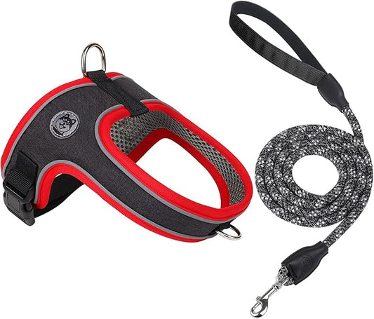 Dog Harness and Leash Set, No Pull Saddle Style Pet Harness, Breathable Mesh Adjustable Reflective Dog Vest for Dogs and Cat Medium Small Harness 2 D-Rings (Black, M)