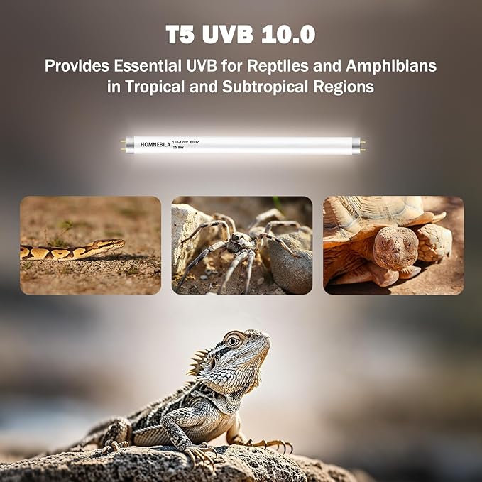 T5 10.0 UVB Reptile Light Bulb 8W, 2-Pack 12 Inch UVB/UVA Lamp Tube for Bearded Dragon, Lizards, Chameleons