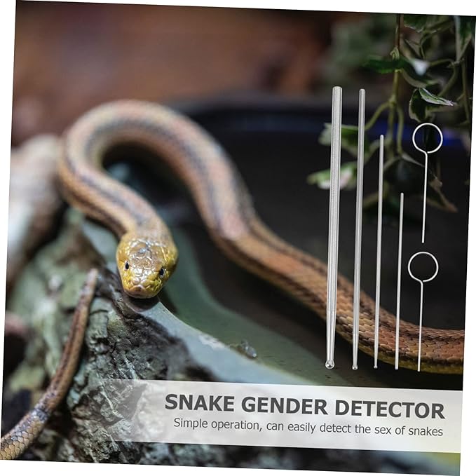 BESPORTBLE 6pcs Snake Gender Probe Reptile Supplies Snake Sexing Kit Probe Tip for Ball
