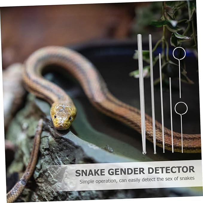 Snake Sexing Tool Snake Probe Tip Set for Reptiles Stainless Steel Material