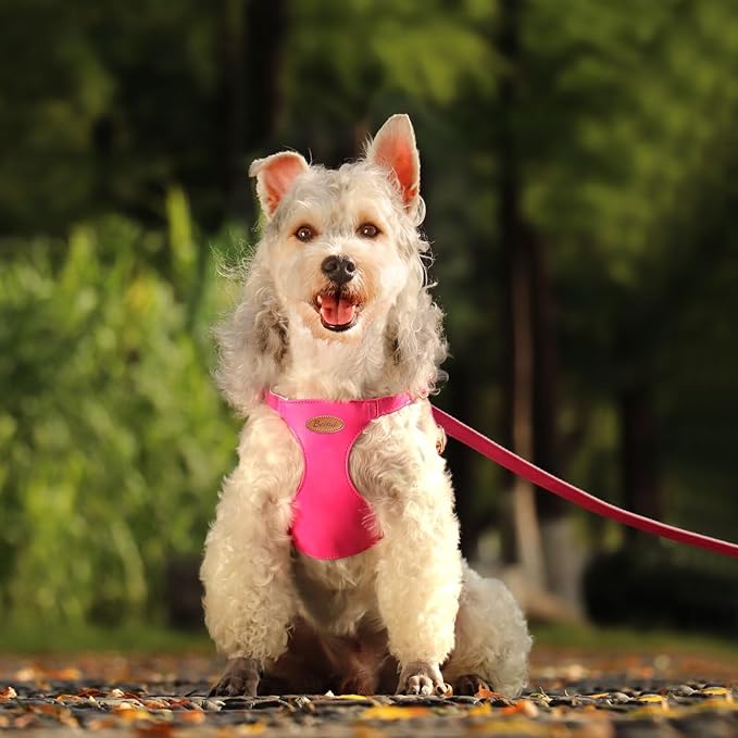 Beirui ‌Stylish PU Leather Dog Harness‌ and Leash Set for Small Dogs, ‌Adjustable Step in Dog Vest Harness with Breathable Mesh Lining and Durable Metal Buckle for Walking Traveling(Hot Pink,S)