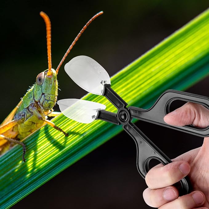 POPETPOP 9pcs Reptile Feeding Clip Flexible Plastic Tool for Easy Pet Feeding and Cleaning for Crickets Locusts and Other for Reptile Care