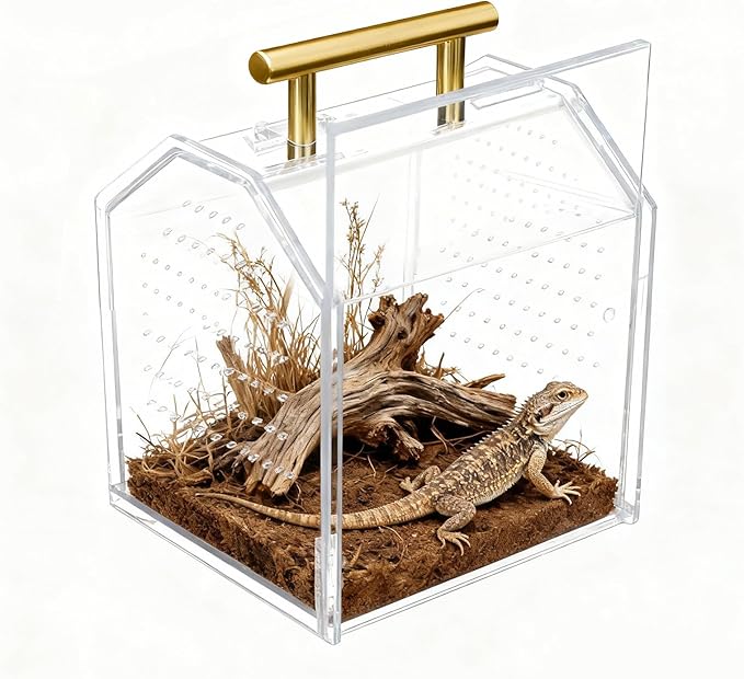 Jumping Spider Enclosure, Large Insect Terrarium, Praying Mantis Habitat, Large Insect Terrarium,Reptile Enclosure,Spider Habitat Caterpillar Habitat (5.5‘’x4.7''x6.5'')