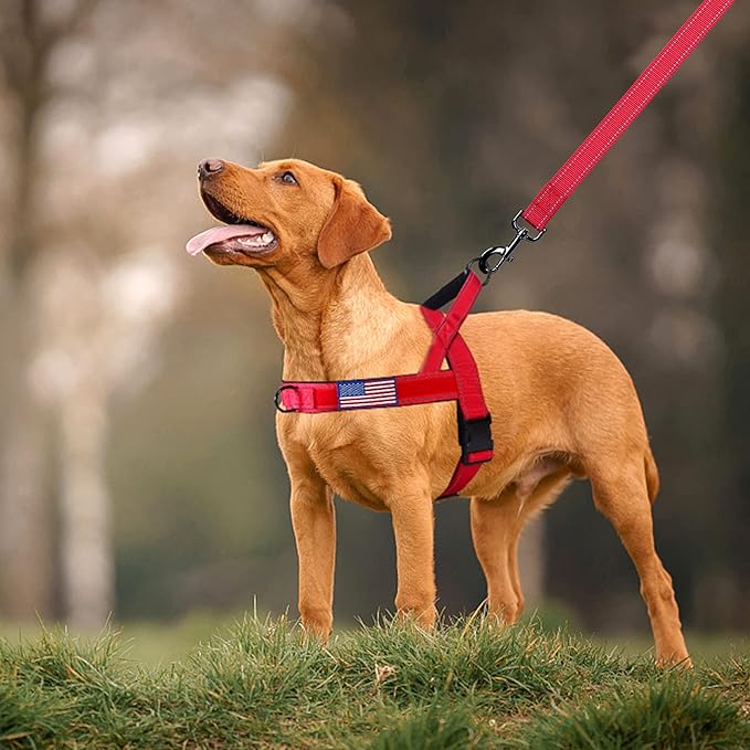 Annchwool No Pull Dog Harness with Padded Handle+5 Ft Leash,Reflective Strip Escape Proof and Quick Fit to Adjust Dog Harness,Easy for Training Walking for Small & Medium and Large Dogs(Red-Set,L)