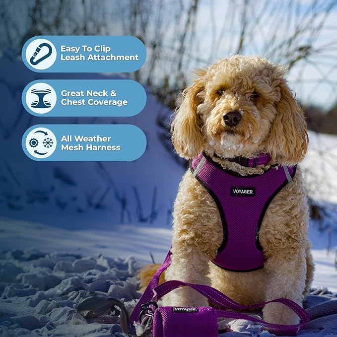Best Pet Supplies Voyager Step-in Air All Weather Mesh Harness and Reflective Dog 5ft Leash Combo with Neoprene Handle, for Small, Medium and Large Breed Puppies - Set (Purple/Black Trim), X-Small