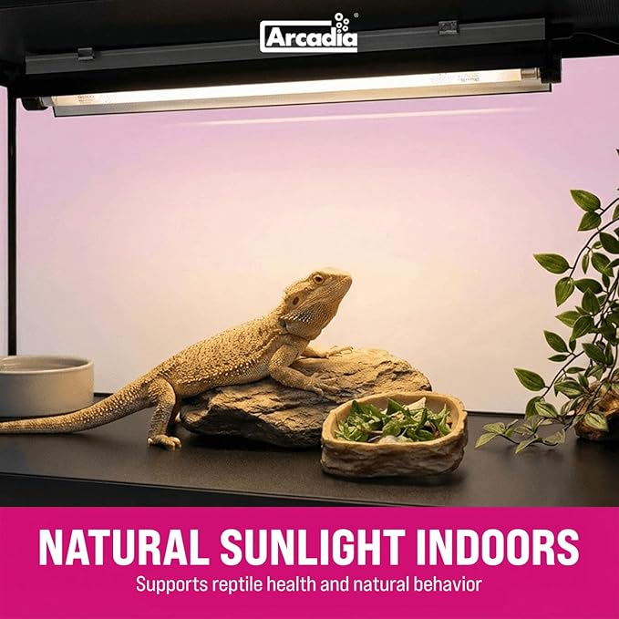 Arcadia T5 UVB Reptile Light Fixture Kit 36" Long 39 Watts 14% UVB Dragon – Complete UVB Light for Reptiles, Turtles, Snake, Bearded Dragon Lamp, Long Lasting Easy to Use Professional Lighting