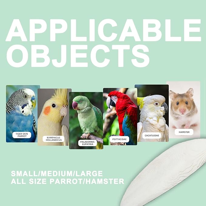 Natural Cuttlebone for Birds Parakeets Canaries Cockatiels Small Conures Mynahs Toucans African Greys All Parrots Snails Totoise (7-7.5 inch,6PCS)