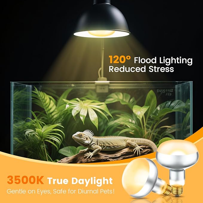 2-Pack 150W Reptile Heat Lamp Bulbs – UVA Daylight Basking Light for Bearded Dragons, Lizards, Turtles, E26 Base