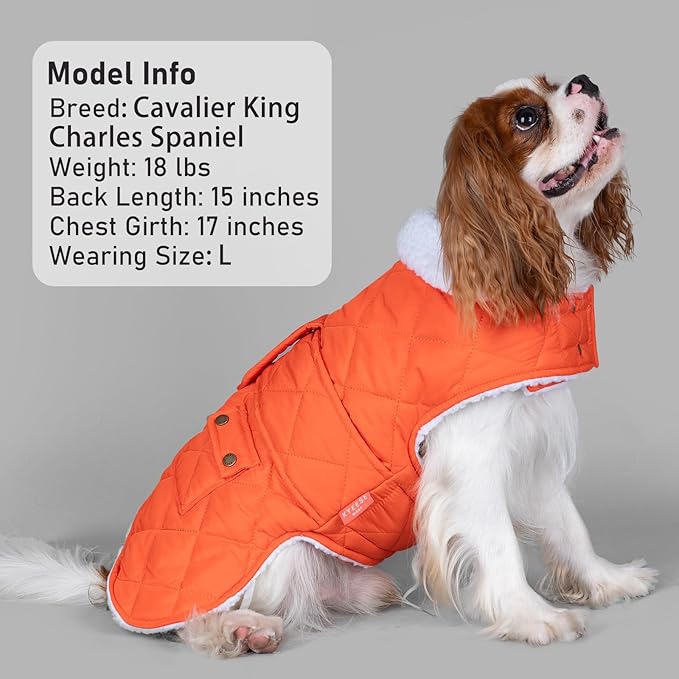 KYEESE Dog Coat Warm Pet Winter Puffer Coat with Leash Hole Waterproof Dogs Jacket with Fleece Lined Windproof Dog Coats for Small Dogs Thick Pets Clothes with Pocket Soft Pet Sweater for Cold Weather