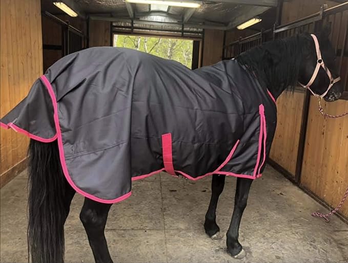 1200 Denier Horse RAIN Sheet (Waterproof/Breathable & Wind Proof Turnout Sheet) Horse Breathable RAINSHEET (Charcoal-Raspberry, 78)
