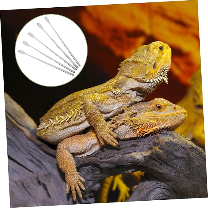 KOMBIUDA 5pcs Lightweight Reptile Food Spoons for Lizard Small Animals Portable Feeding Tool for Reptile Tanks Ergonomic Design for Convenient Handling and Balanced Nutrition